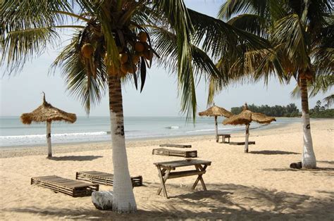 palm trees and umbrellas line the beach