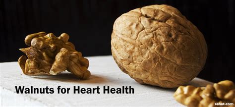 4 Best Nuts for Heart Health | Sehat