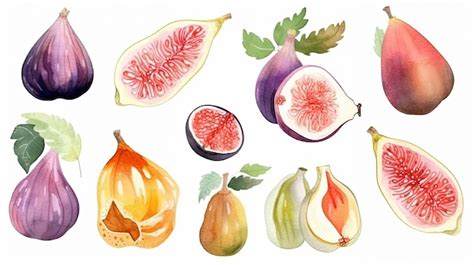 Premium AI Image | Set of watercolor figs generative ai