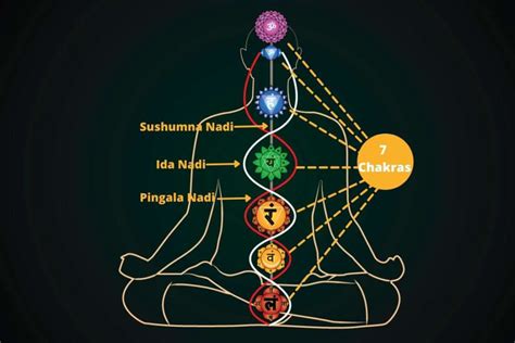 Nadis and Chakras: Working Mechanism of Subtle Body – Fitsri Yoga