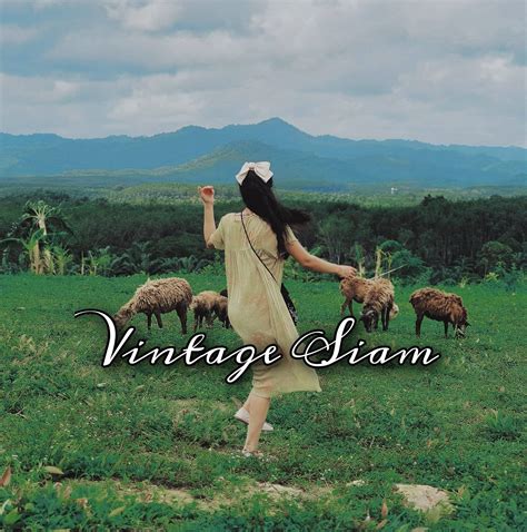 Vintage siam