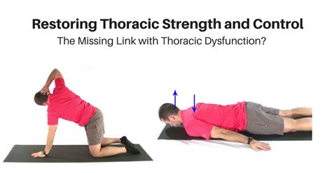 Thoracic Extension Strength and Control - My Rehab Connection