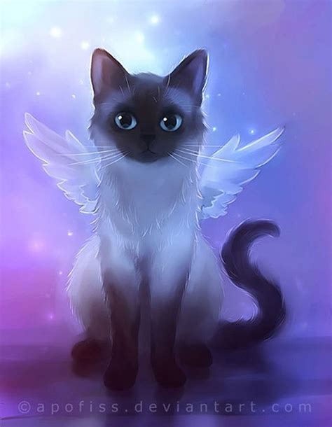 Cat, angel, HD phone wallpaper | Peakpx