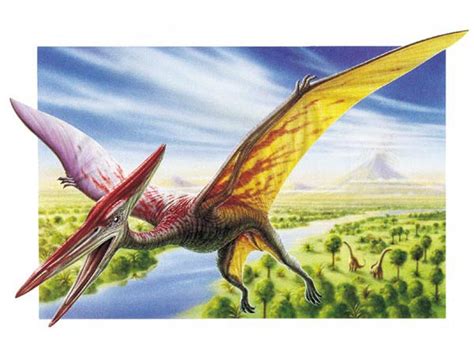 Al's Dino World: Mystery Dinosaur: Flying Pterosaurs