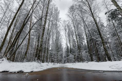 A Beautiful Snow-covered Winter Forest. Ice Lake and Forest Streams ...