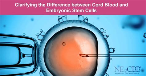 Difference between Cord Blood and Embryonic Stem Cells