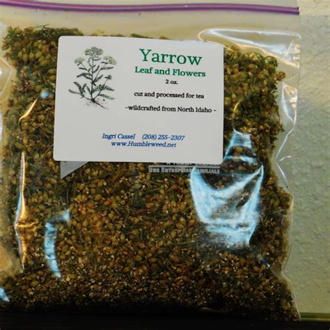 2 oz. Yarrow Tea – Humbleweed