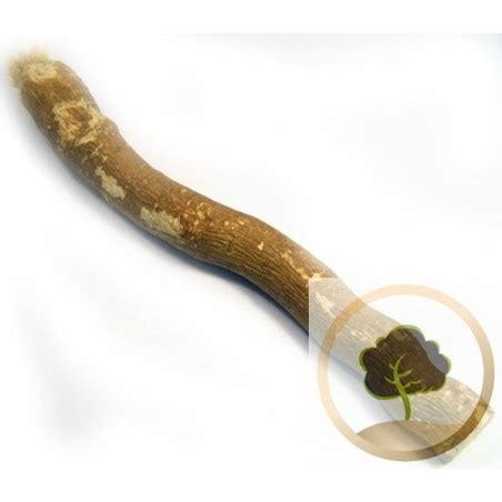 Buy our Miswak Stick best quality lower price