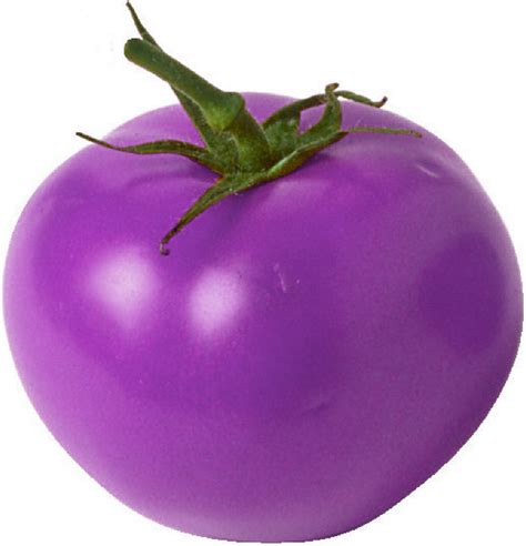 PURPLE TOMATOES