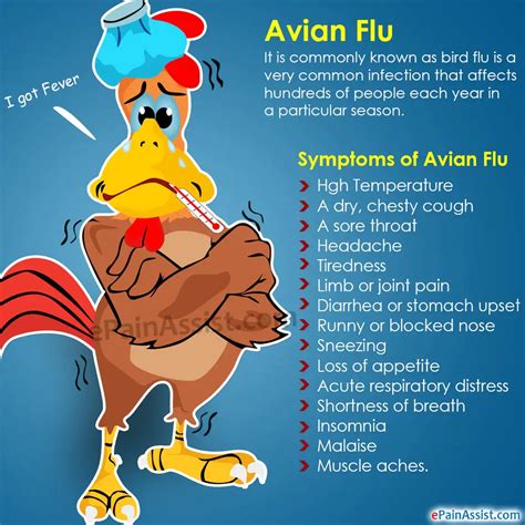 Avian Flu|Causes|Symptoms|Treatment|Prevention