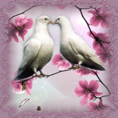 Love Birds Animated Pictures for Sharing #124539693 | Blingee.com