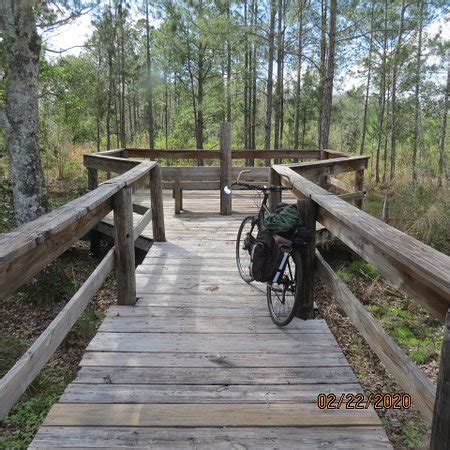 General James A. Van Fleet State Trail (Polk City) - 2020 All You Need to Know BEFORE You Go ...