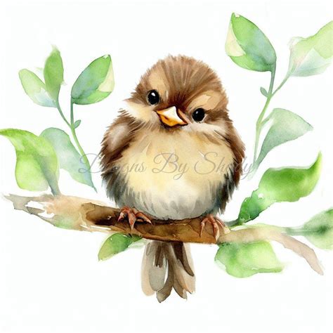 14 Baby Sparrows Clipart Pngs, Commercial Use Digital Download, Mixed ...