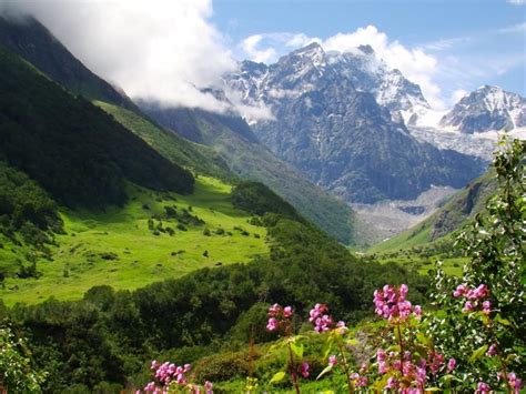 Valley of flowers himalayas photos