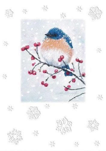 Audubon Society greeting card http://www.audubon.org/ | Bird cards ...