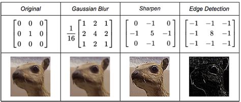 Analyzing the Power of CLIP for Image Representation in Computer Vision