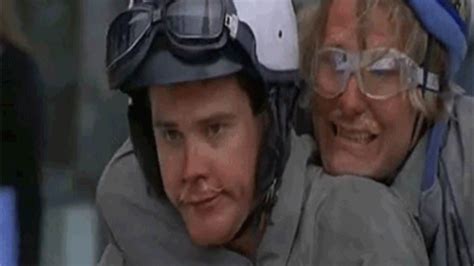 Dumb And Dumber GIFs - Find & Share on GIPHY