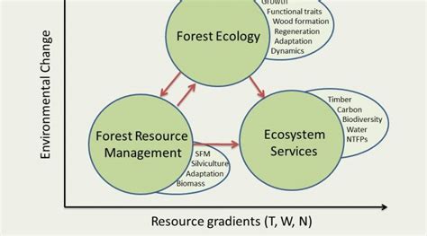 What is Ecology? Branches of Ecology. Plant and Forest Ecology. - Forestrypedia