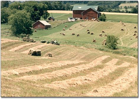 Ontario's Agricultural Past: Farmer harvesting hay