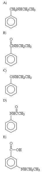 Chapter 18: Amines & Amides Flashcards | Easy Notecards