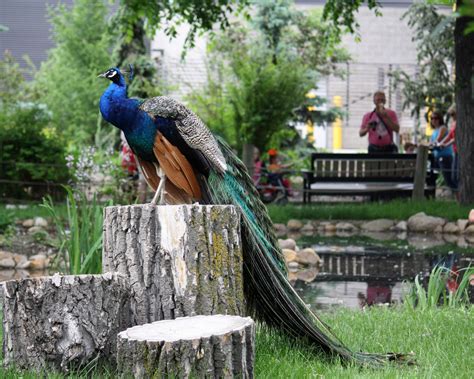 Calgary Zoo - Eileen