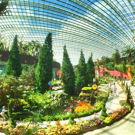 Flower Dome (Singapura) - Review - Tripadvisor