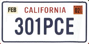 CARS License Plates