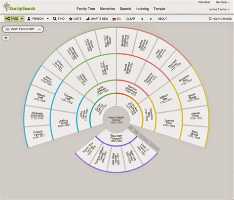 The Different Views in FamilySearch Family Tree