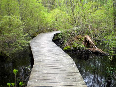 Breakheart Trail Running: Bay Circuit Trail Run, Section #3 - Single ...