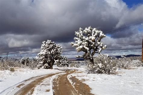 DESTINATION | Snow In The Desert!? - UTV Sports