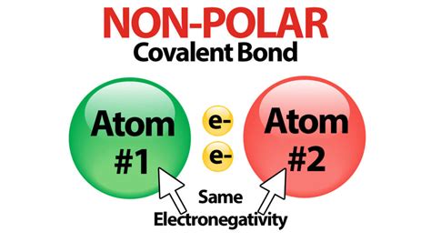 Polar Covalent Bonds - Clearly Explained for Easy Learning