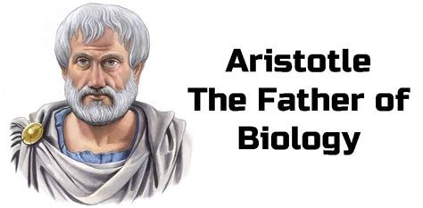 Aristotle: The Father of Biology Aristotle- the father of BI0l0GY and Z00l0GY