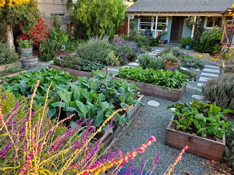 How to Start a Fall Garden: Best Fall Vegetables to Grow ~ Homestead ...