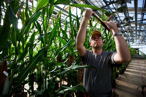 Why Monsanto always wins | Fortune