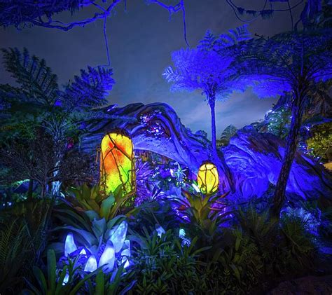 World of Avatar at Animal kingdom by Mark Andrew Thomas | Disney world ...