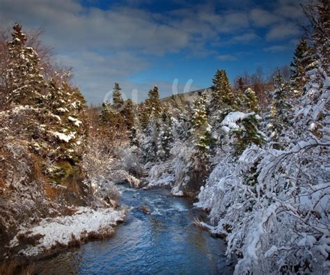 St. John's, Bowring Park winter