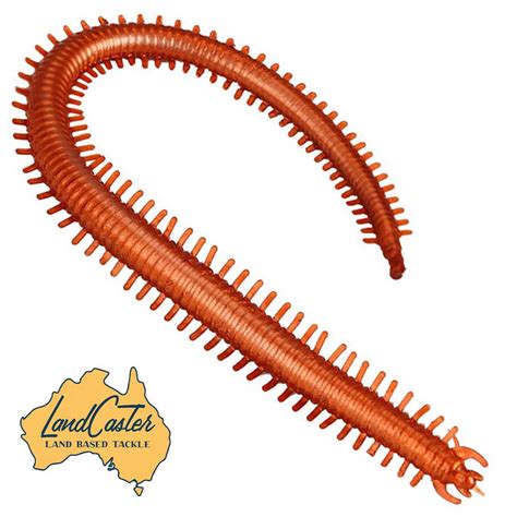 Sand Worm Soft Plastic Worms for Surf Fishing Bream Dart and Whiting ...