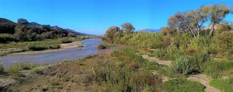 Restoration and Conservation in Southern California: The Santa Clara River Parkway - Sonoran ...