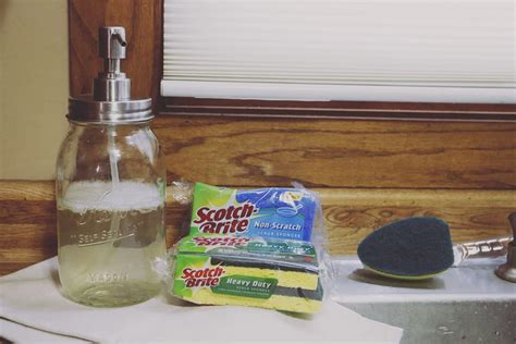 Homemade Dish Soap DIY - Hello Nature