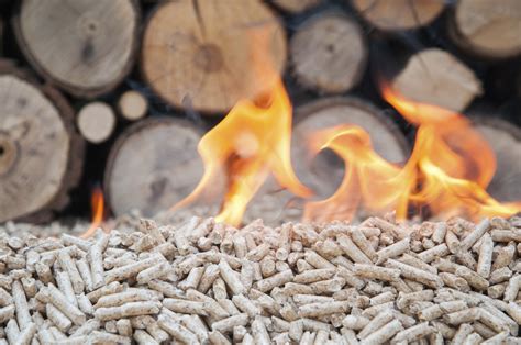 What is Biomass Energy? - Big Green Switch