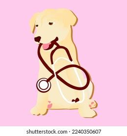 Wheelchair Pet Animal Prosthetics Pet First Stock Vector (Royalty Free) 2240350607 | Shutterstock