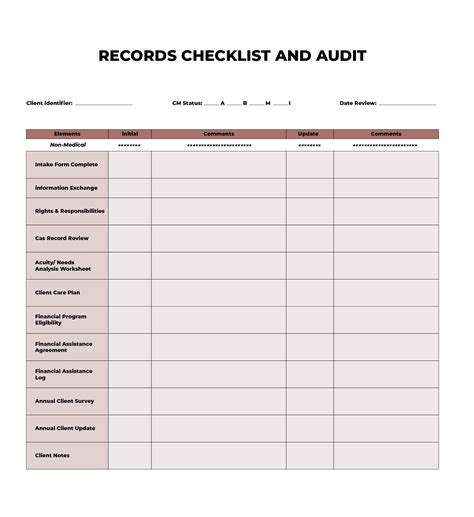 Medical Chart Audit Template