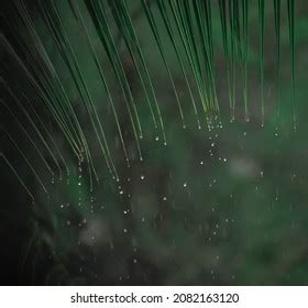 Listen Rhythm Falling Rain Stock Photo 2082163120 | Shutterstock