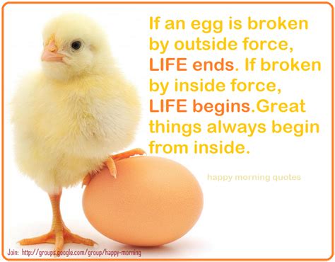 Good Egg Quotes. QuotesGram