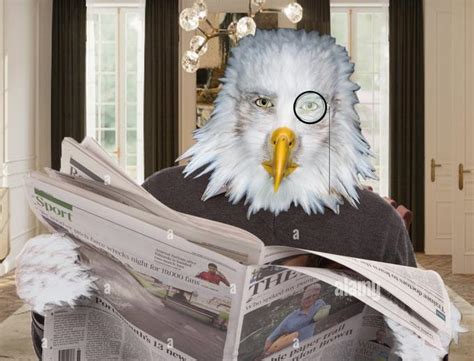 Looking over the newspaper | Staring Eagle / Marvin Beak | Know Your Meme