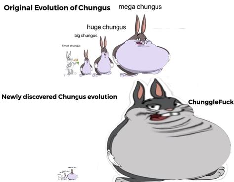 Original Evolution of Chungus Mega chungus huge chungus big chungus ...