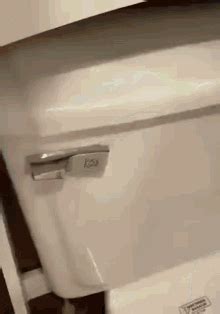 Flush Toilet GIF - Flush Toilet - Discover & Share GIFs