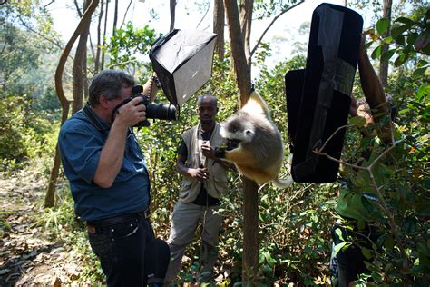 Diademed Sifaka | RARE: Creatures of the Photo Ark | Official Site | PBS