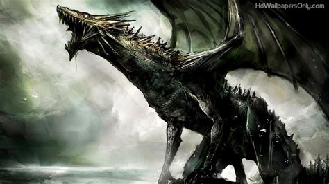 Real Dragon Wallpapers - Top Free Real Dragon Backgrounds - WallpaperAccess