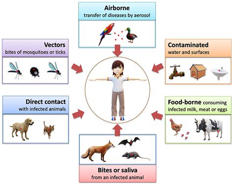 Animal Transmitted Diseases